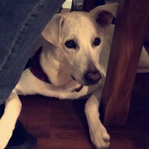 Meet your Posher, Karen